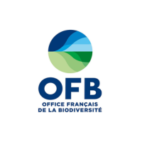 OFB
